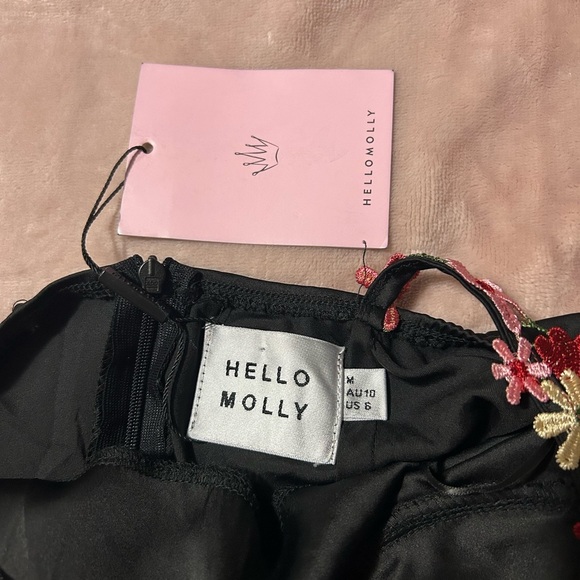 NWT Hello Molly Blooming Confidence Slip Dress with Floral details. Size M. - Picture 5 of 13